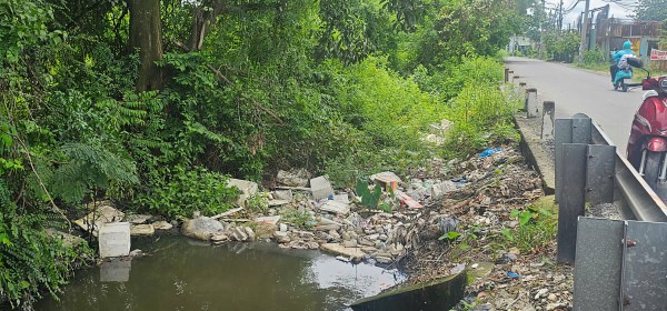 Mưa lớn gây ngập hàng ngàn mét vuông rau màu ở TP.HCM, nông dân thiệt hại nặng Mưa lớn gây ngập hàng ngàn mét vuông rau màu ở TP.HCM, nông dân thiệt hại nặng