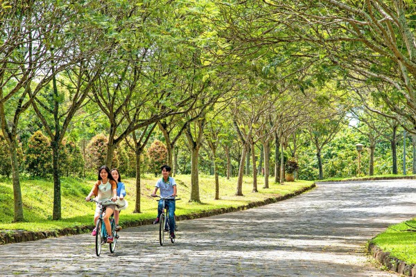 Thành lập 10 phường mới ở Đồng Nai: Xây dựng Trảng Bom thành đô thị đáng sống