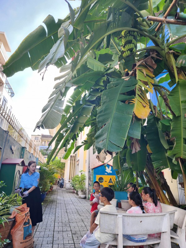 Nghỉ hè ở TP.HCM: Học miễn phí nhảy hiện đại, kỹ năng sống trong trường Nghỉ hè ở TP.HCM: Học miễn phí nhảy hiện đại, kỹ năng sống trong trường