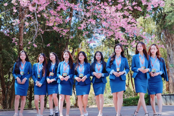 Trường ĐH Đà Lạt rực sắc mai anh đào, sinh viên, du khách thích thú chụp ảnh Trường ĐH Đà Lạt rực sắc mai anh đào, sinh viên, du khách thích thú chụp ảnh