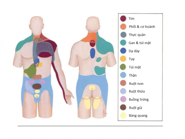 6 thí nghiệm kinh dị và cực nguy hiểm mà các nhà khoa học từng làm với chính mình để phục vụ nhân loại