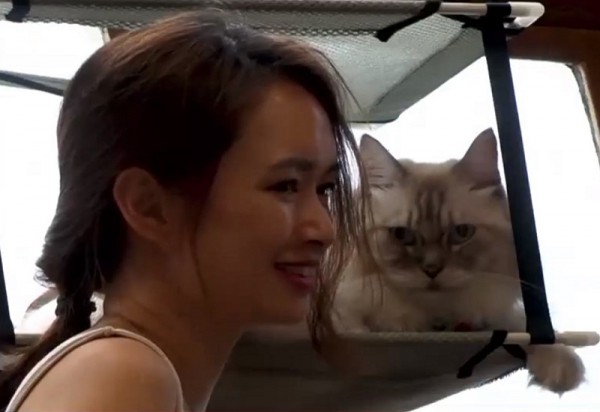 Du thuyền hạng sang cho mèo ở Singapore