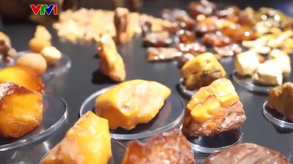 Hổ phách được khai thác ở đâu và khai thác thế nào?