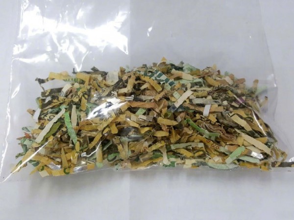Lỡ tay biến tiền thành đống giấy vụn trong chốc lát, tiếc của cô gái hì hục cả tháng để làm một việc khiến cả thế giới trầm trồ